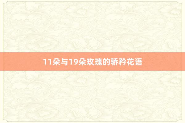 11朵与19朵玫瑰的骄矜花语