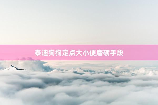 泰迪狗狗定点大小便磨砺手段