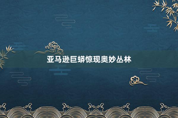 亚马逊巨蟒惊现奥妙丛林