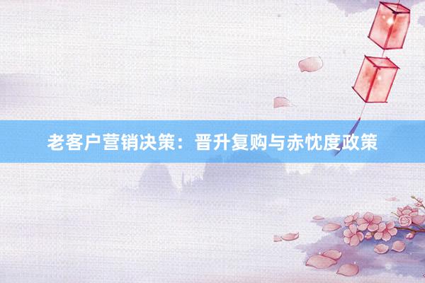 老客户营销决策：晋升复购与赤忱度政策